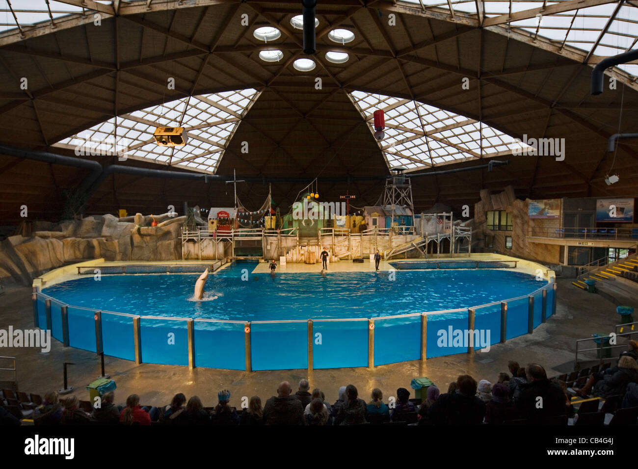 Les dauphins au cours de spectacle au Delphinarium de Boudewijn Seapark près de Bruges, Belgique Banque D'Images