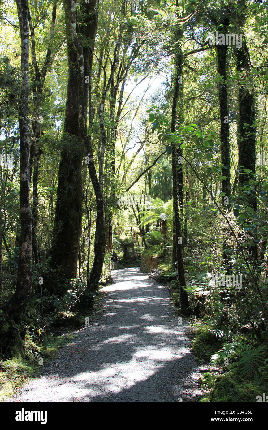 Sentier forestier marche bois Banque de photographies et d’images à ...