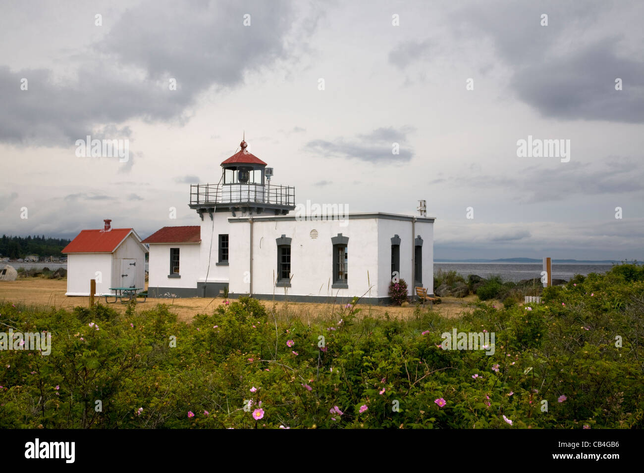 WASHINGTON - La baie Nootka rose qui fleurit au Point No Point phare sur le Puget Sound à Hansville. Banque D'Images