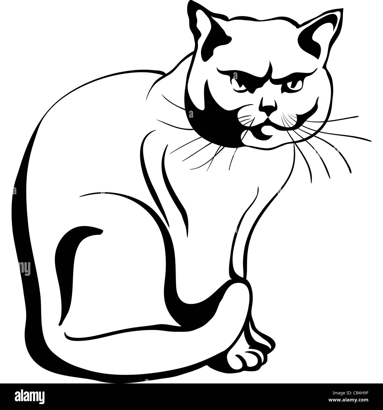 Croquis en noir et blanc chat britannique et se trouve à au sérieux Banque D'Images