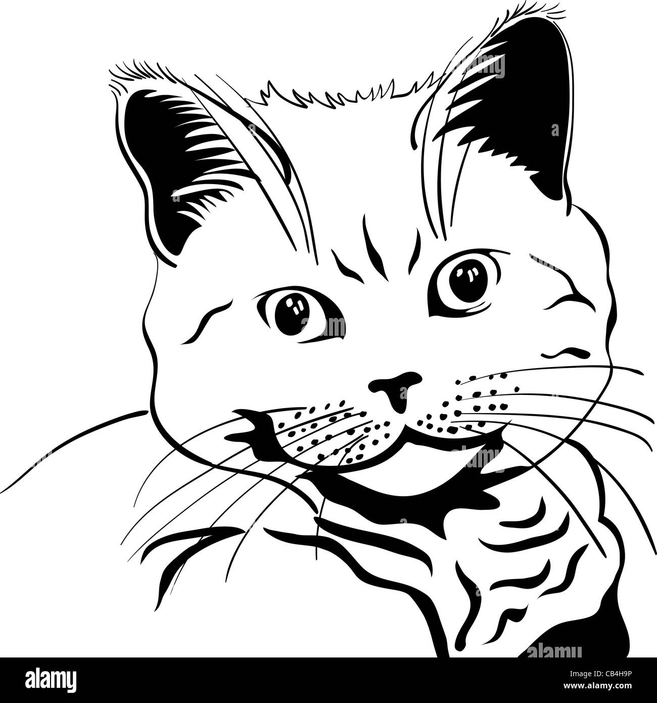 Croquis en noir et blanc closeup portrait british cat à au sérieux Banque D'Images