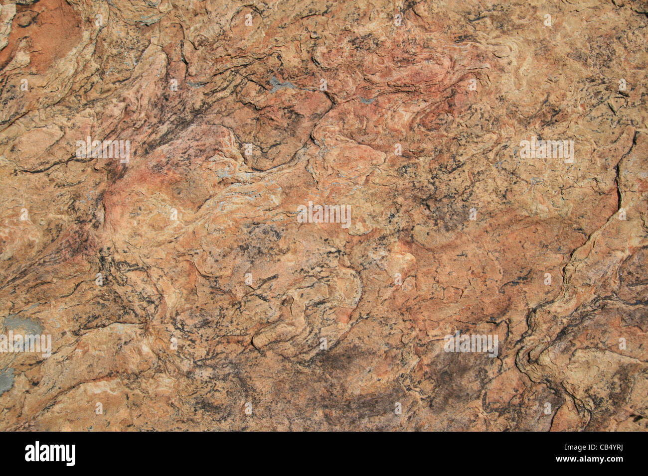 Quartzite rouge surface fond de lichen Banque D'Images