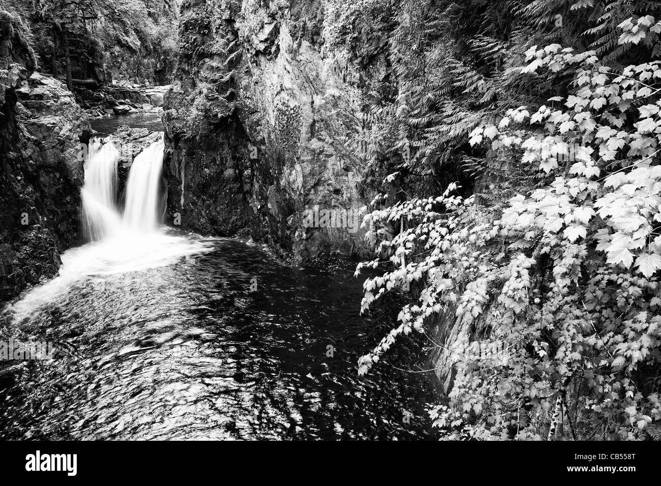 Englishman's Falls, près de Parksville sur l'île de Vancouver, Colombie-Britannique, Canada. Banque D'Images