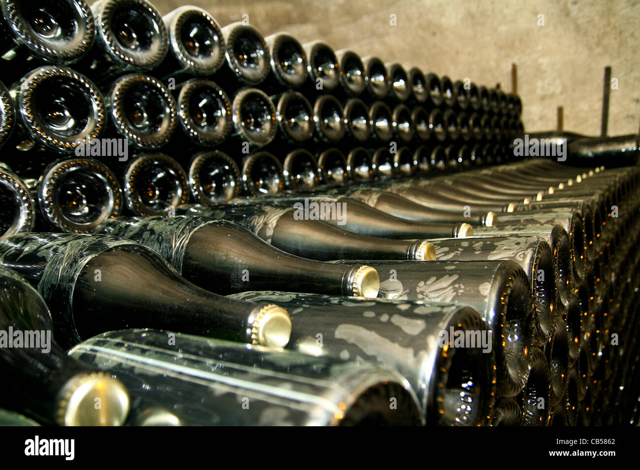 Des bouteilles de champagne fermenting dans les caves de champagne Taittinger à Reims France Banque D'Images