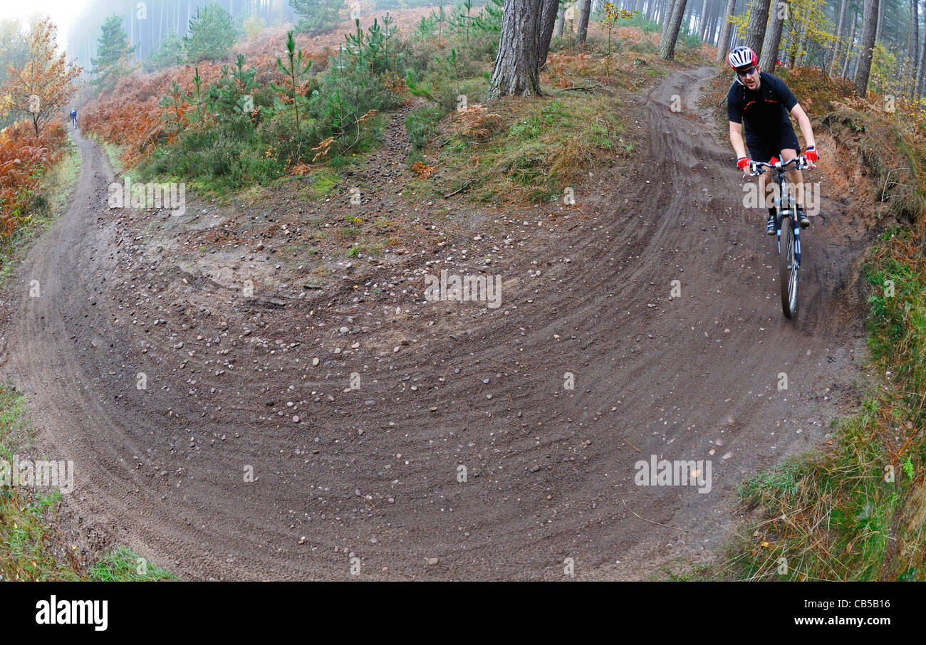 Homme vtt rider en virage dans une piste forestière Banque D'Images