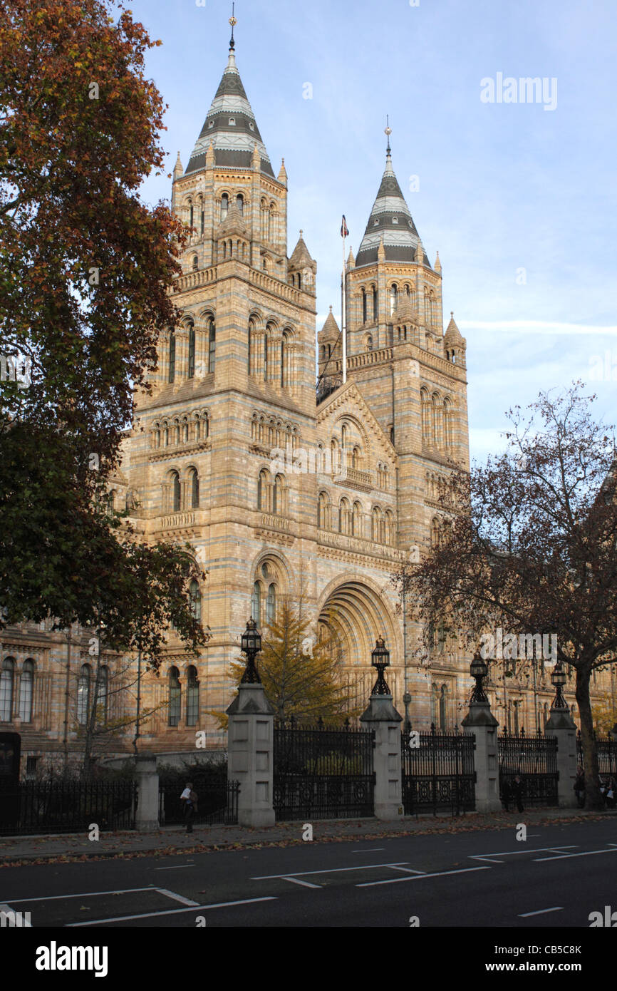 Musée d'histoire naturelle de Londres Kensington Banque D'Images