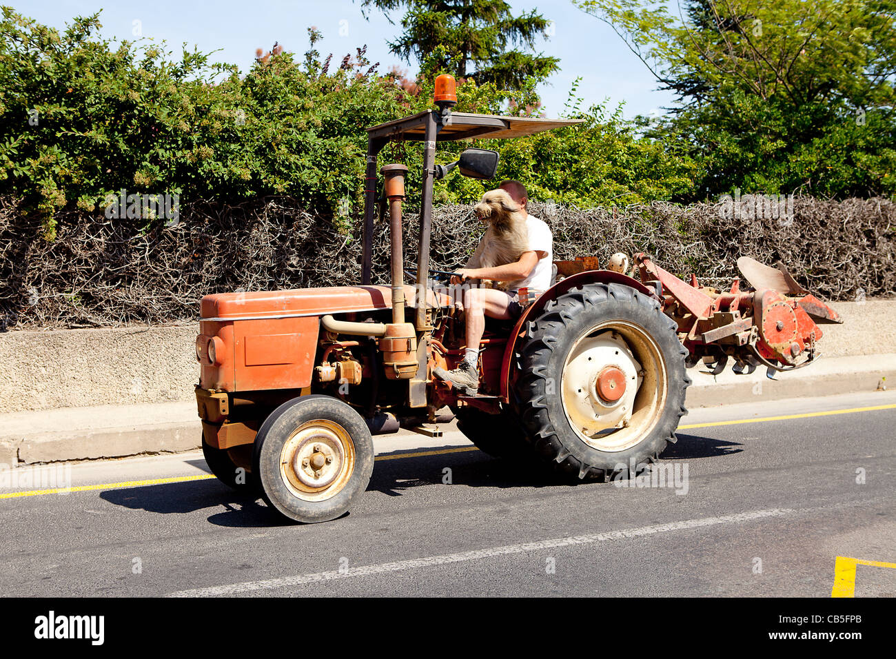 Funny photo ; l'homme est au volant de son tracteur avec chien sur le siège Banque D'Images