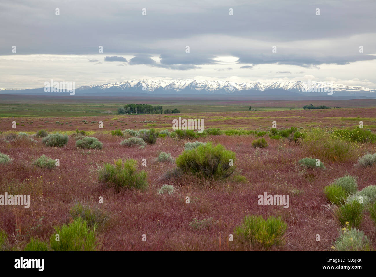 Les terres du ranch de l'ouest de l'Oregon, Etats-Unis, avec une vue sur la montagne de Crooked Creek. Banque D'Images