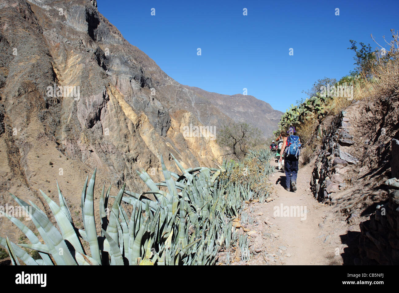 Les randonneurs à pied dans le Canyon de Colca, Pérou Banque D'Images