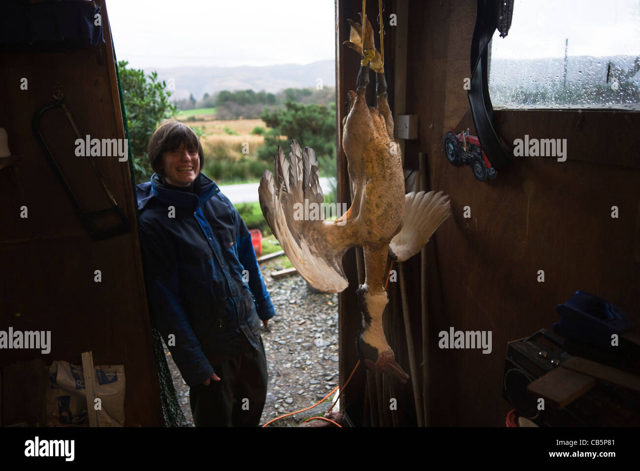 La pendaison de l'oie au Sarah Leggitt's estate cottage, une ancienne forge, de maintenir les animaux maintenant à Lochbuie, Ile de Mull, en Ecosse. Banque D'Images