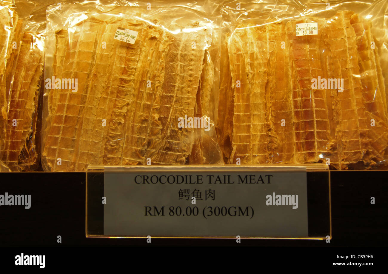 Queue de crocodile de la viande (viande de crocodile) Banque D'Images