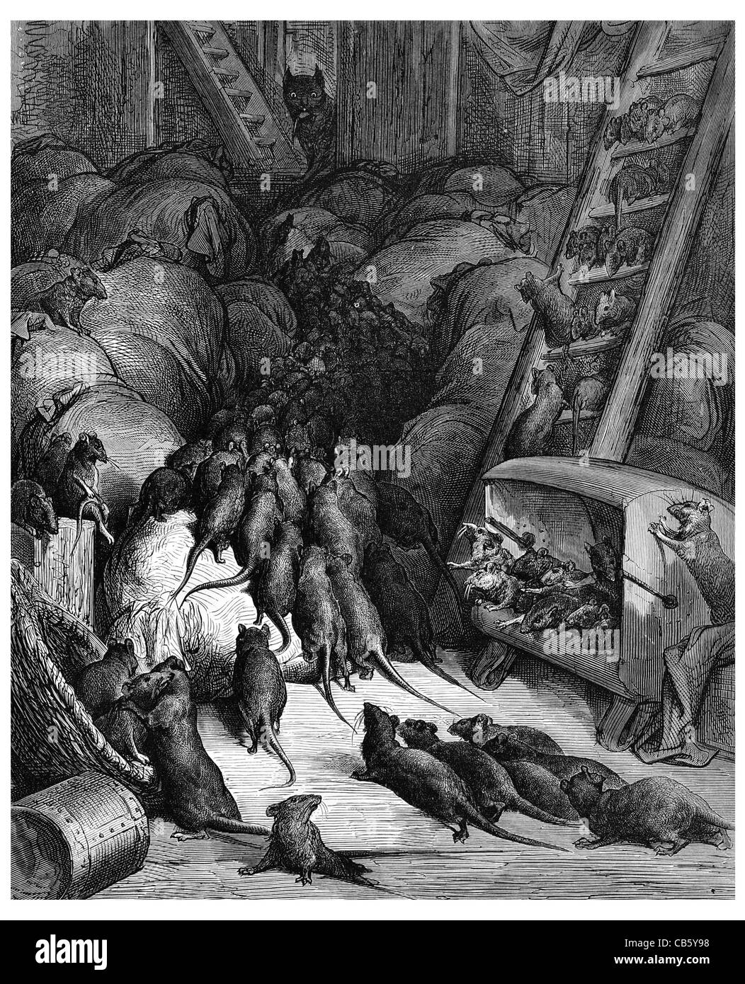 Ligue des infestation de rongeurs rats souris rat lour moulin alimentation maladies détruisant cat relation prédateur-proie de la faune nature sauvage Banque D'Images