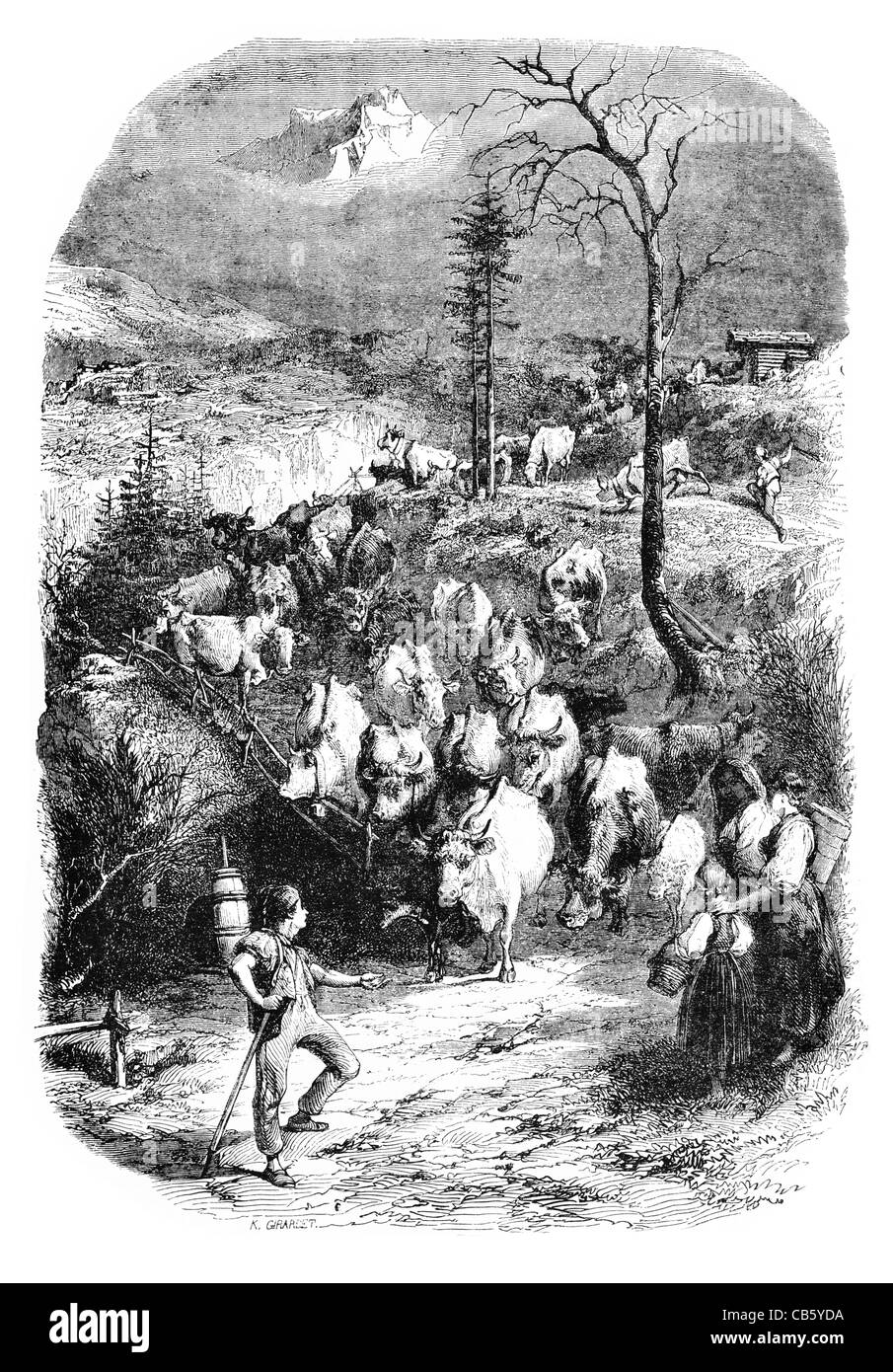 Suisse Retour du Troupeau de bovins agriculteur agriculture agriculture ferme vache vaches taureaux bull valley country broutée pâturage pâturage Banque D'Images