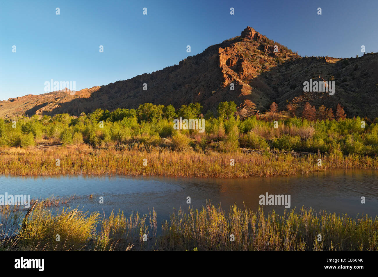 Matin sur la rivière Shoshone Banque D'Images