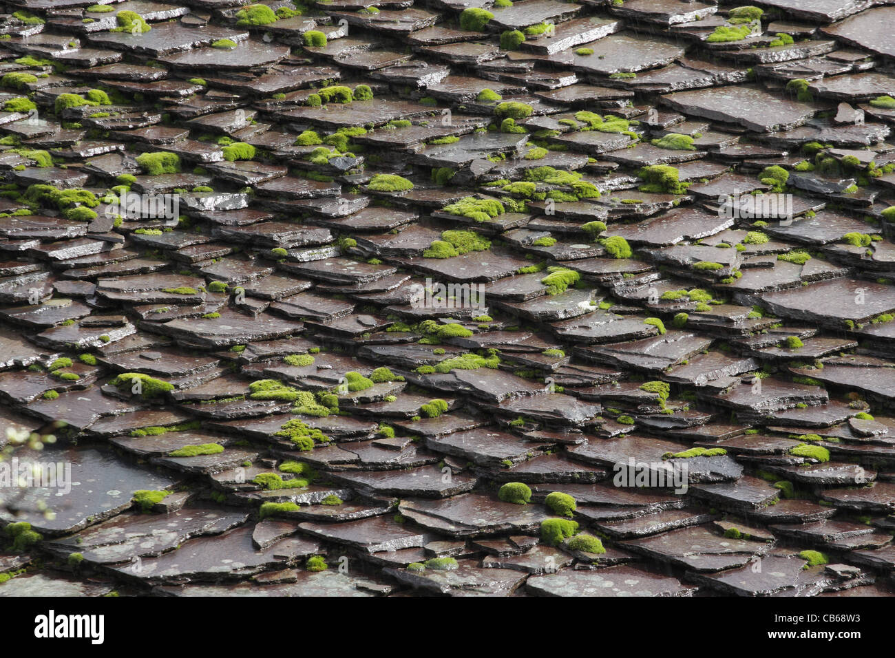 Toit en ardoise. Des dalles en pierre avec de la mousse et les lichens sur toit. L'architecture traditionnelle en Bulgarie. Banque D'Images