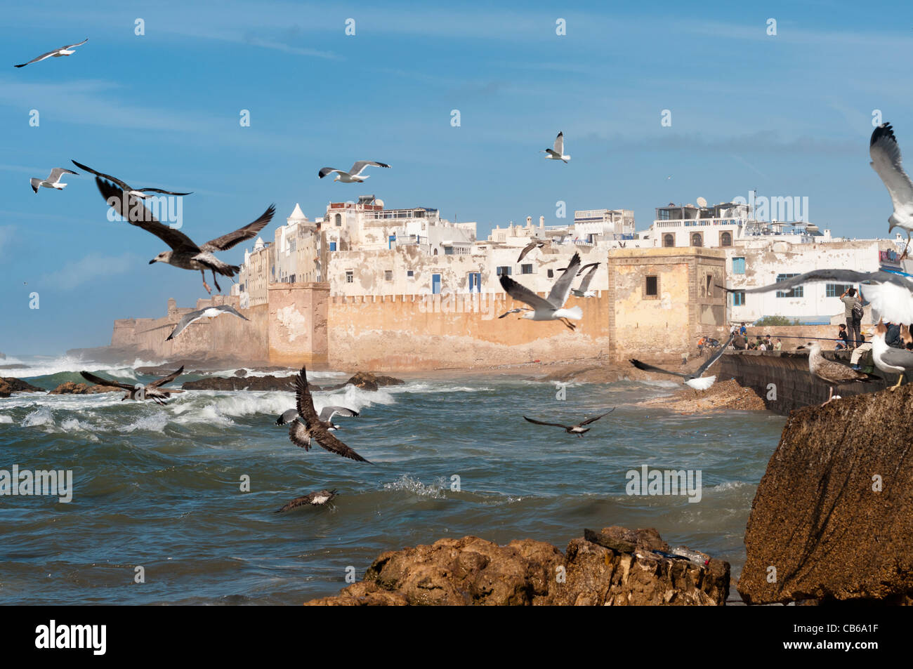 Skala de la ville, Essaouira, Maroc Banque D'Images