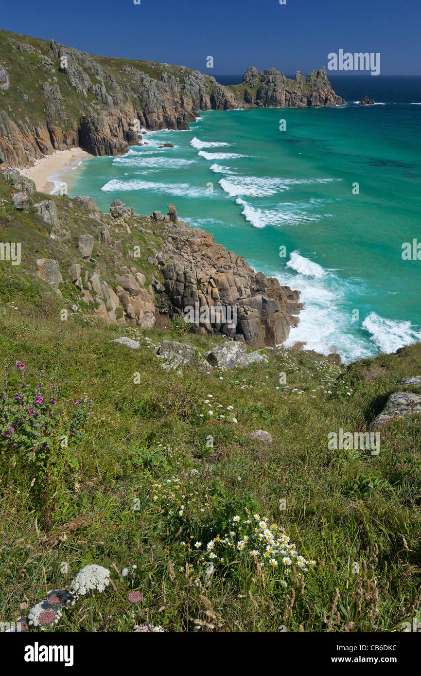 Surfez et mer turquoise à Pednvounder la plage en été, soleil, près de Falaise Treen Porthcurno, Lands End, la péninsule de Cornouailles Banque D'Images Surfez et mer turquoise à Pednvounder la plage en été, soleil, près de Falaise Treen Porthcurno, Lands End, la péninsule de Cornouailles Banque D'Images