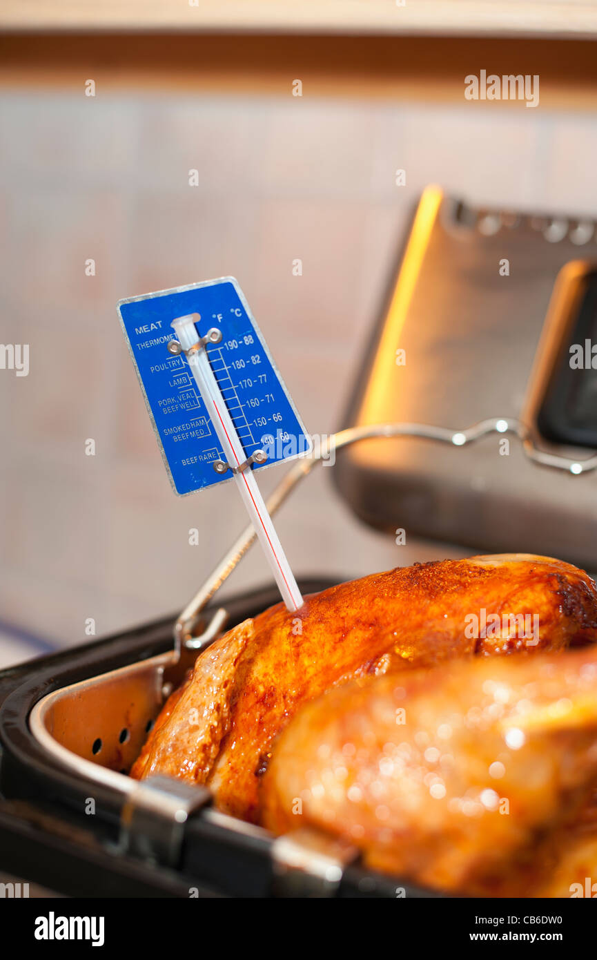 Turquie la volaille rôti avec thermomètre à viande mesure la température à l'action de grâces Banque D'Images
