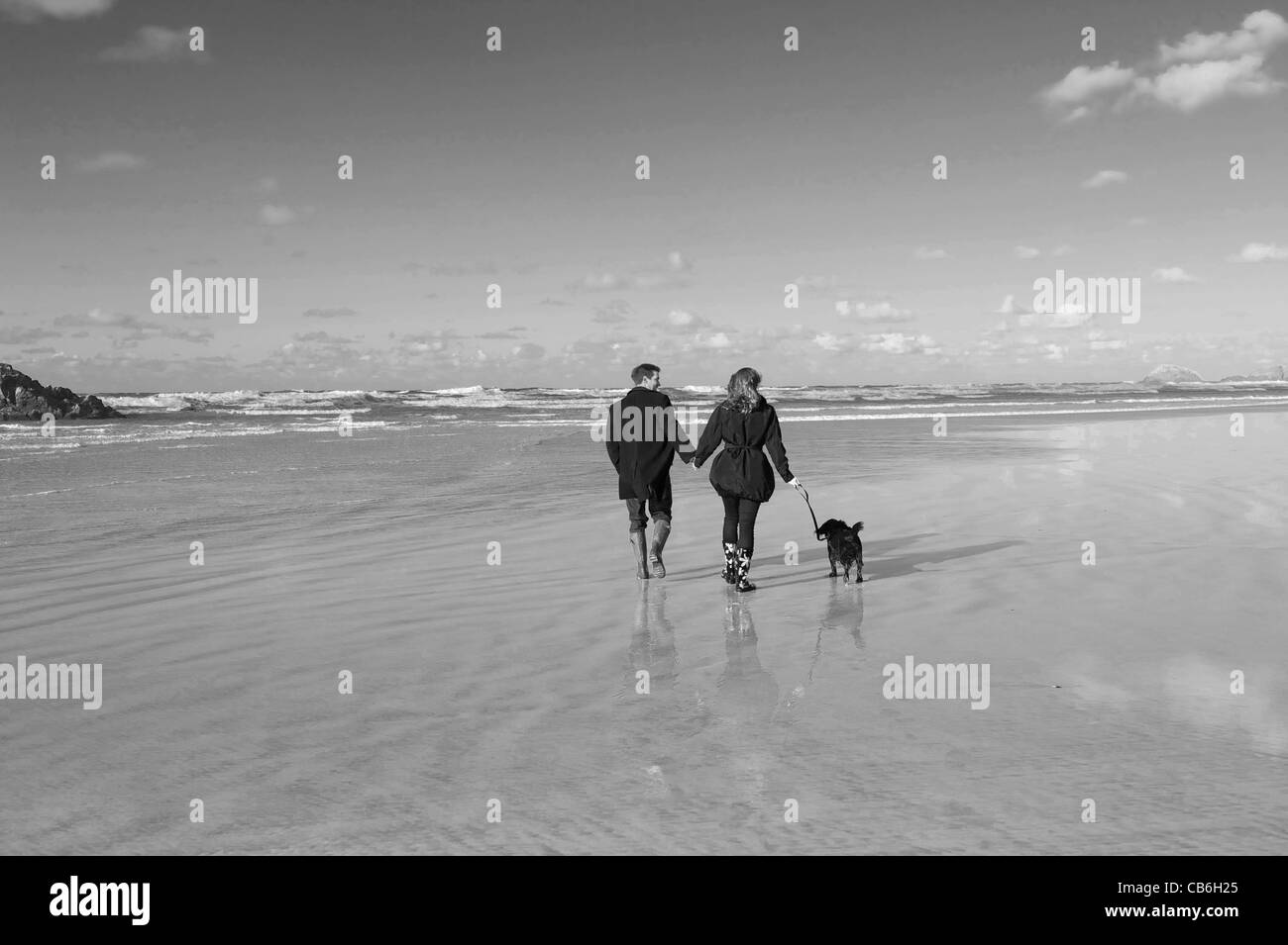 Jeune couple walking dog sur une plage en hiver. Banque D'Images