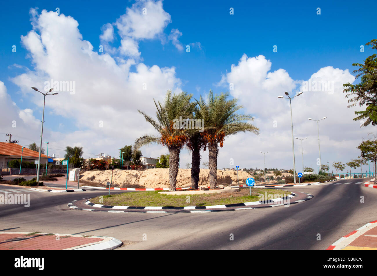 Trois palmiers avec fond de ciel bleu, Arad, Israël, Asie, Moyen Orient Banque D'Images