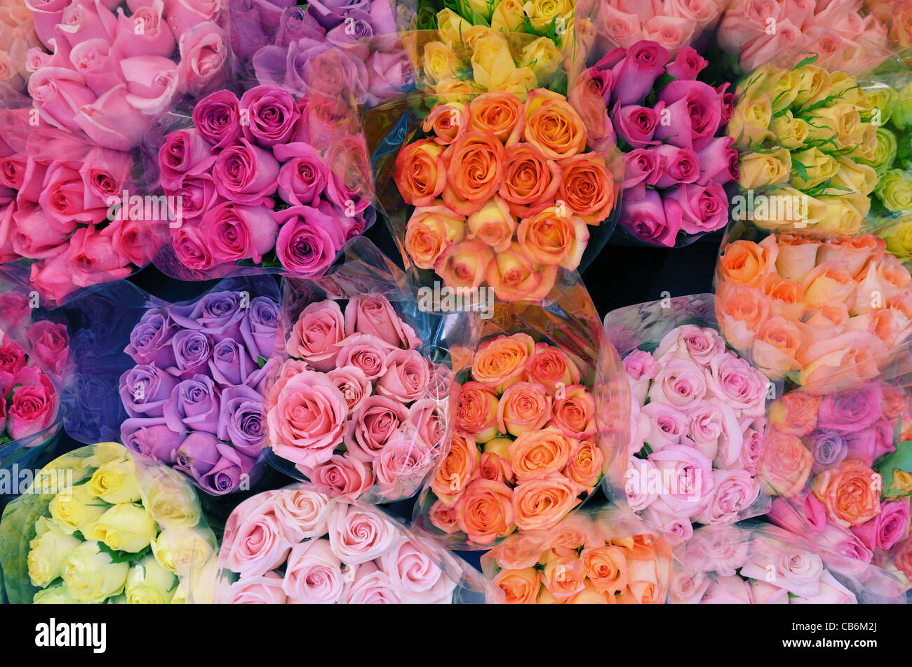 Bouquets de roses multicolores à vendre Banque D'Images