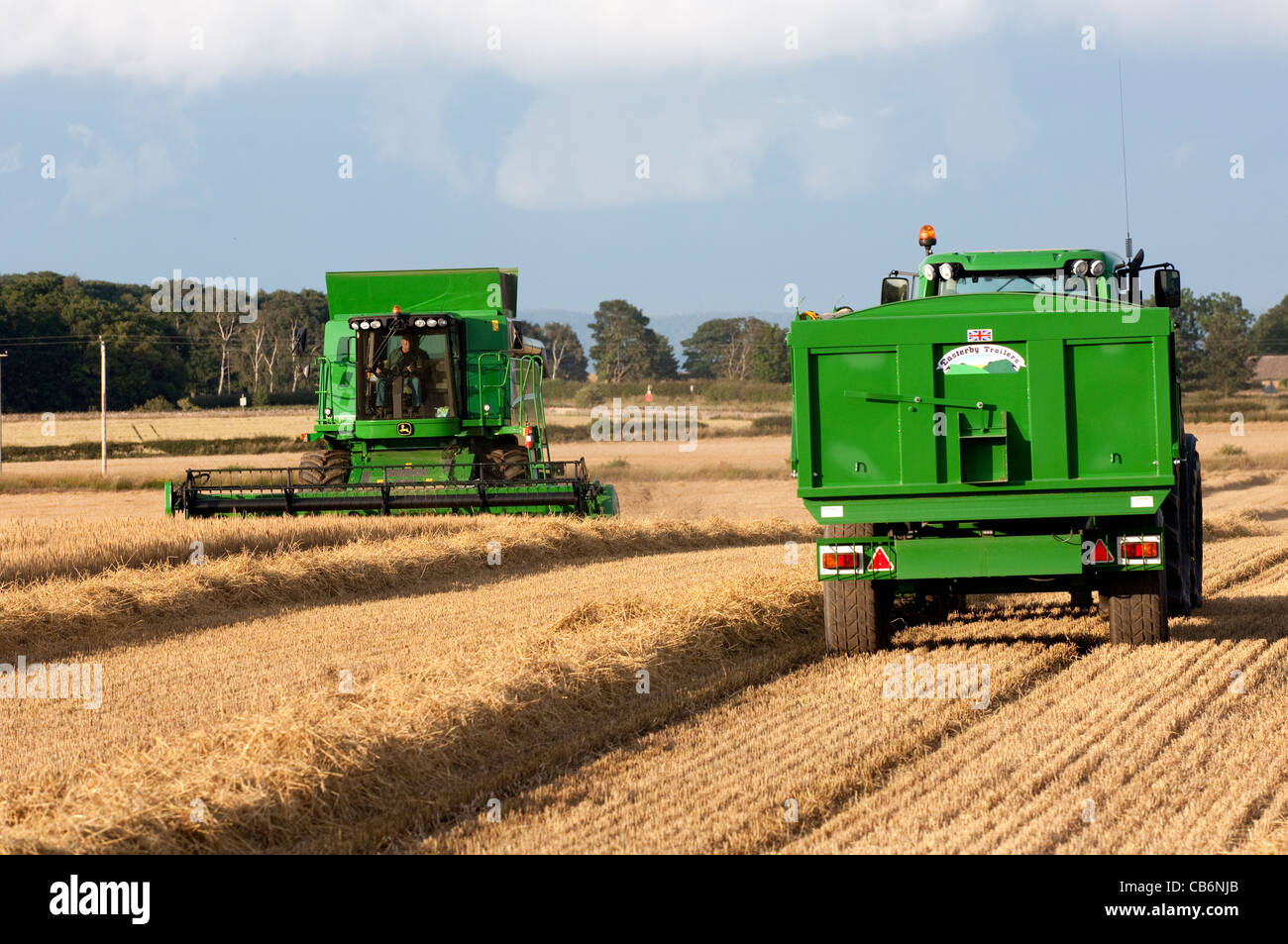 La récolte d'orge avec John Deere T560 moissonneuse-batteuse. Banque D'Images