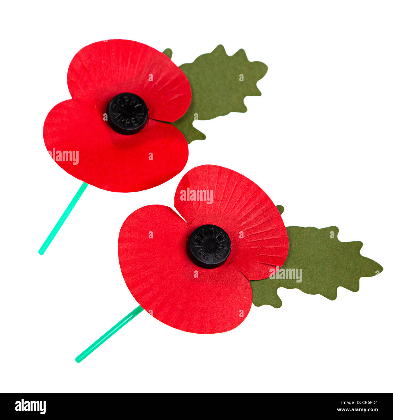 Les coquelicots du jour du Souvenir sur white cut out UK Banque D'Images