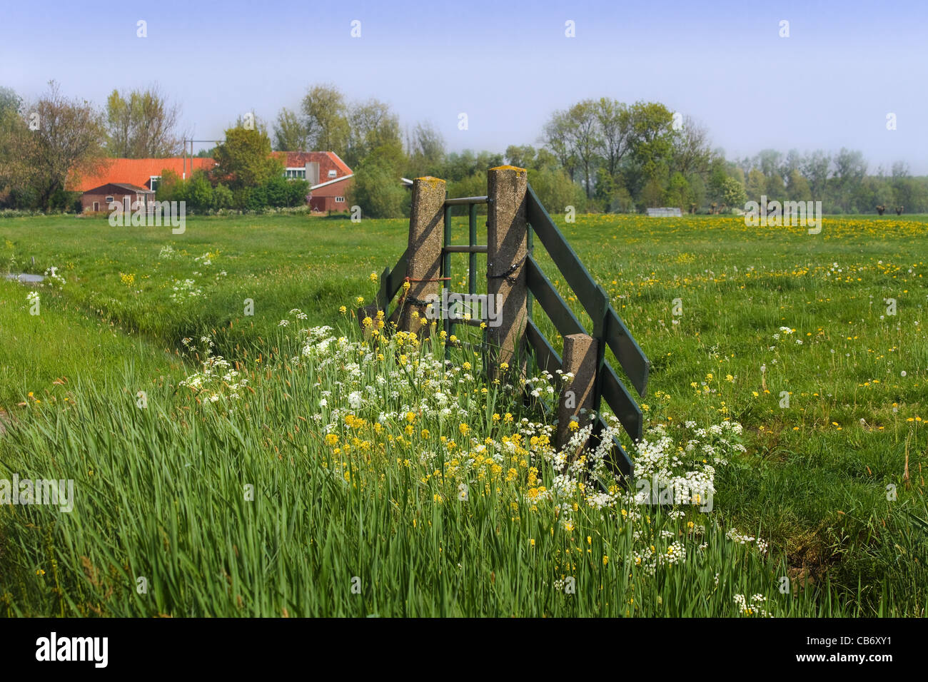 La porte et la ferme en néerlandais Pays Paysage de printemps - horizontal Banque D'Images