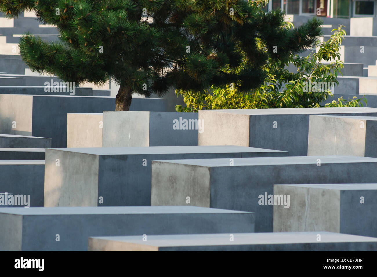 Le Mémorial aux Juifs assassinés d'Europe (Holocaust Memorial). Berlin, Allemagne. Banque D'Images