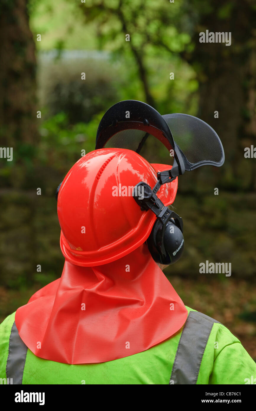 Tree Surgeon au travail dans un jardin Tenby, Pembrokeshire Wales Banque D'Images