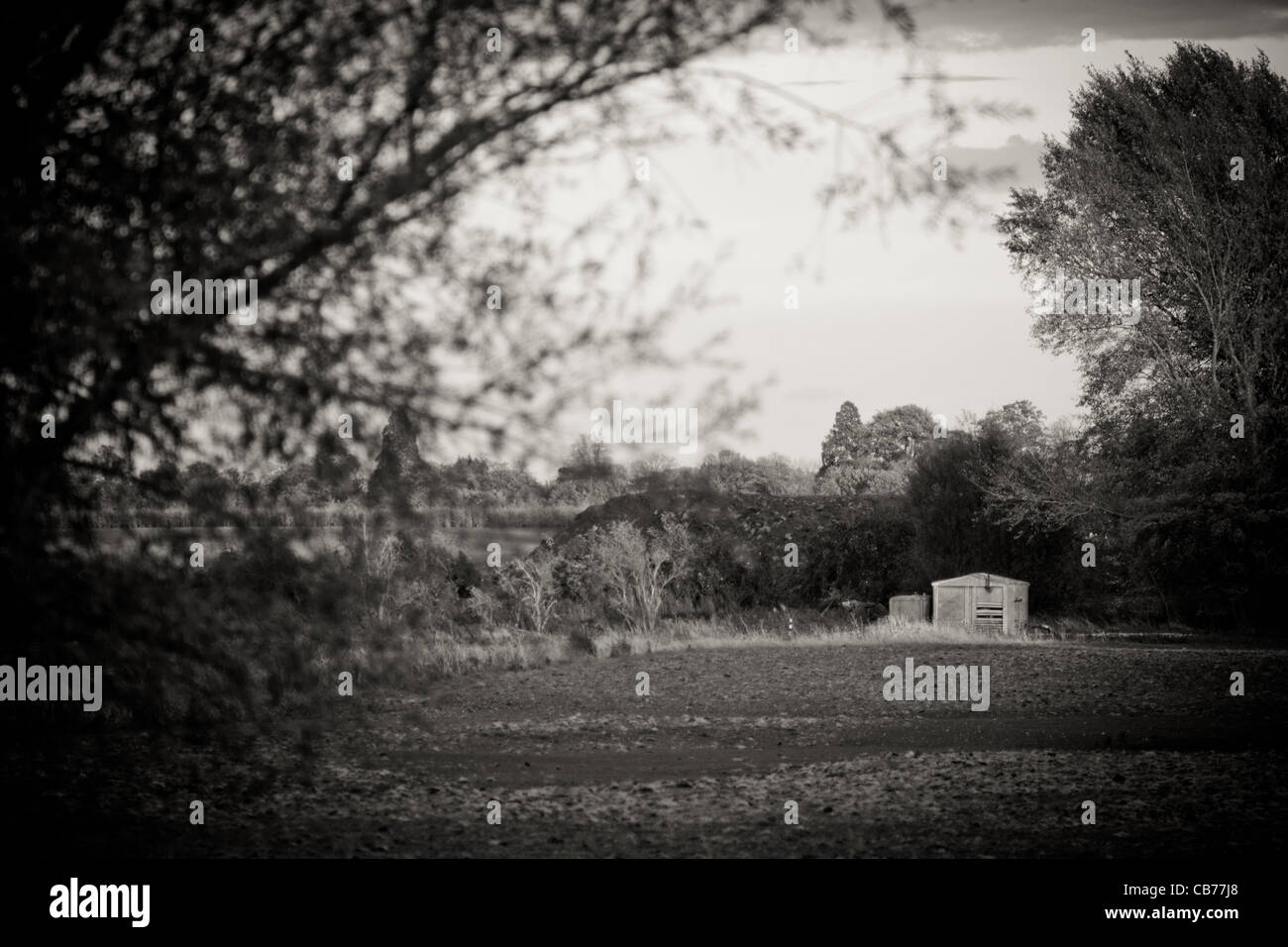 Ferme Fenland Cambridge Banque D'Images