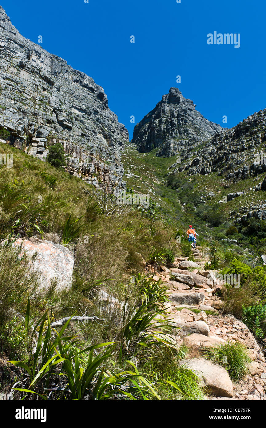 Table Mountain escalade enfants Platteklip via Cape Town Afrique du Sud Banque D'Images
