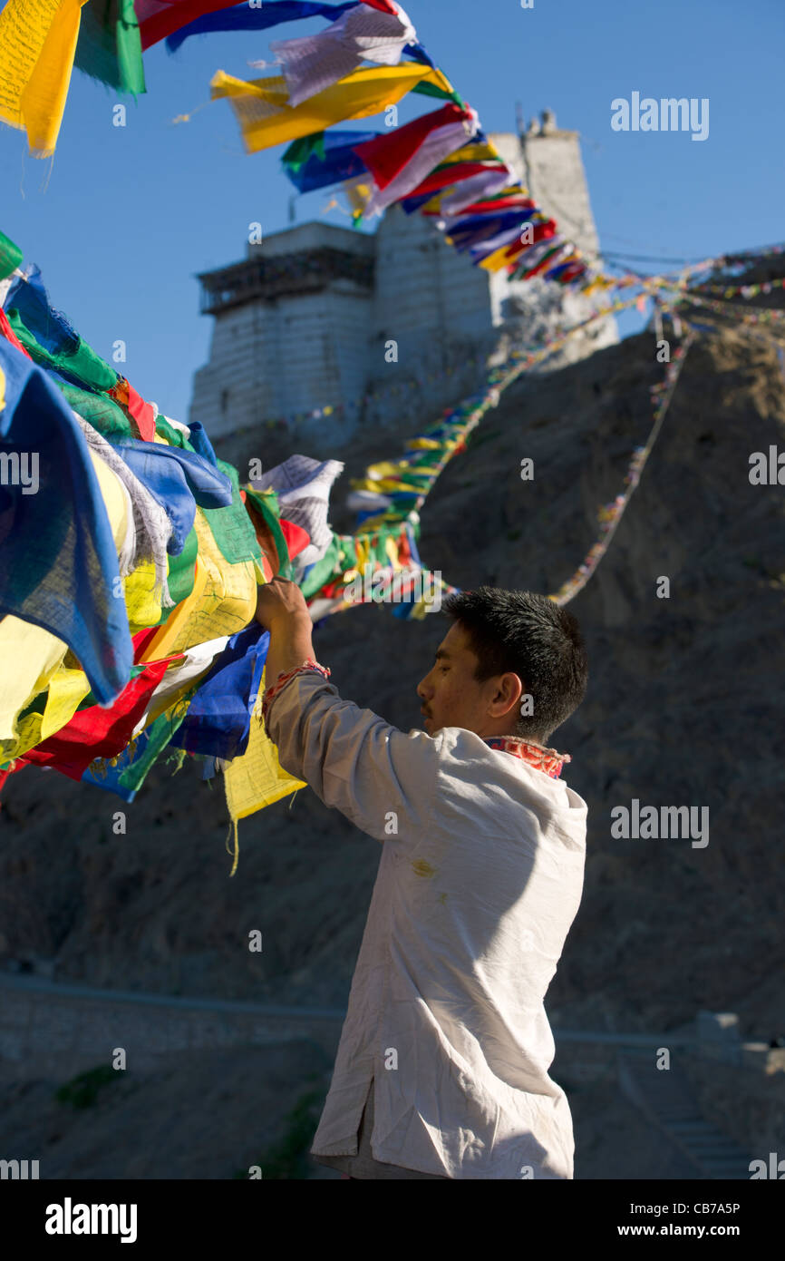 Homme ladakhis lier les drapeaux de prières à Namgyal Tsemo Gompa, Leh, Ladakh (Jammu-et-Cachemire), Inde Banque D'Images