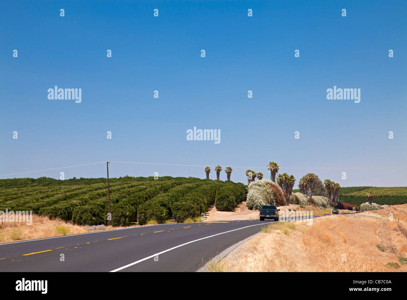 Ligne 65, Central Valley, California, USA Banque D'Images