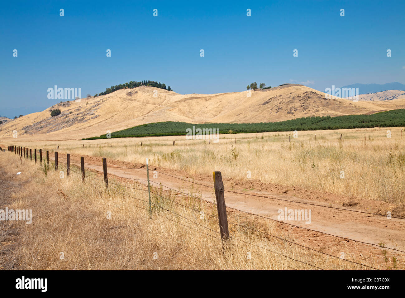 Ligne 65, Central Valley, California, USA Banque D'Images