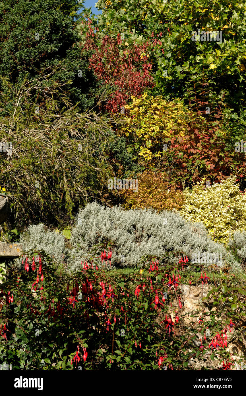 Devon en terrasse jardin d'arbustes et de petits arbres avec une gamme de couleurs d'automne Banque D'Images