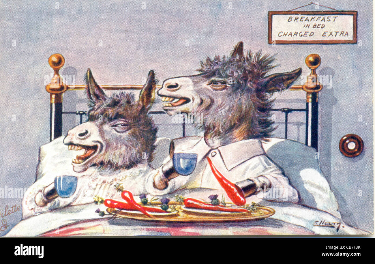 Carte postale d'ânes dans le petit déjeuner au lit par artiste Ellam Banque D'Images