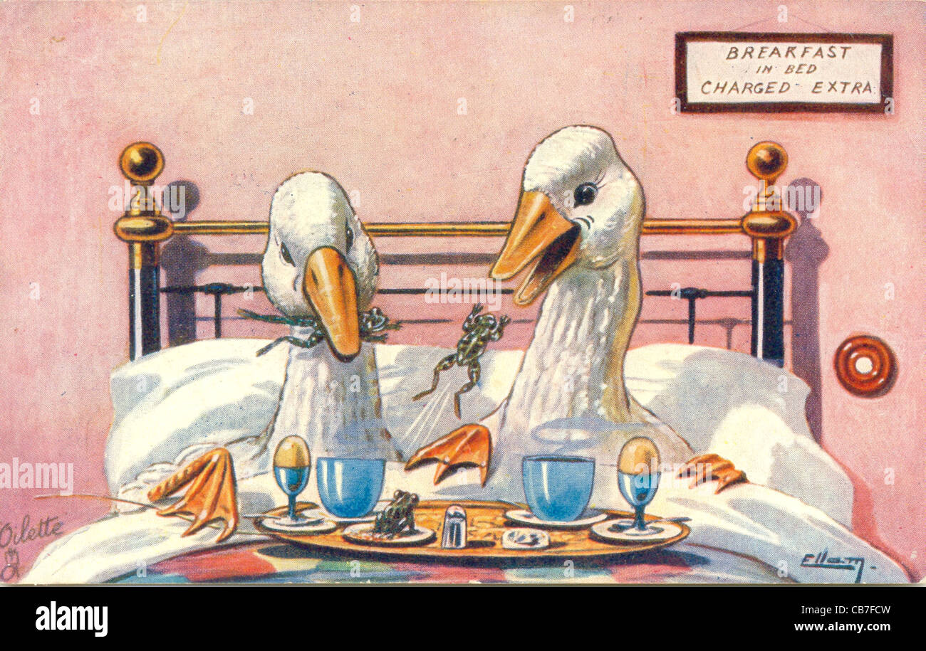 Photo Carte postale de deux oies appréciant leur petit-déjeuner au lit par artiste Ellam Banque D'Images