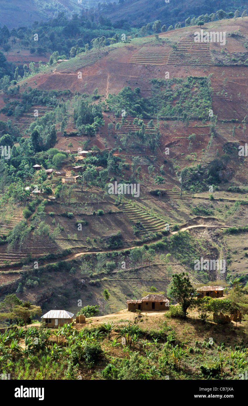 La culture sur les pentes escarpées des montagnes Usambara en Tanzanie Banque D'Images