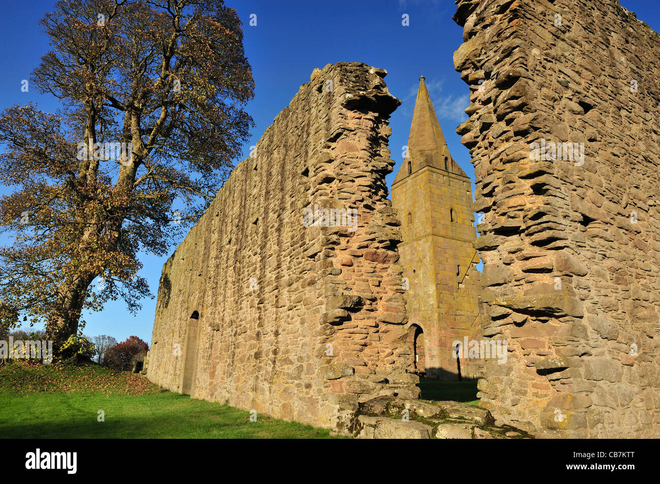 Abbaye de Restenneth, près de Forfar, Angus, Scotland, UK Banque D'Images