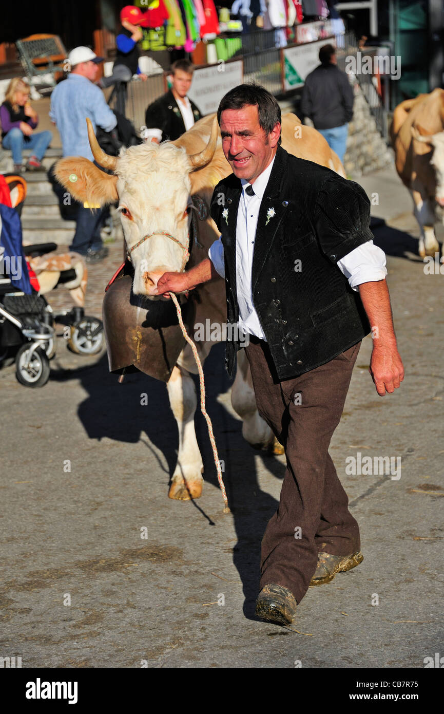 Agriculteur suisse menant sa vache simmental à travers la ville dans le cadre du festival annuel desalpe Banque D'Images