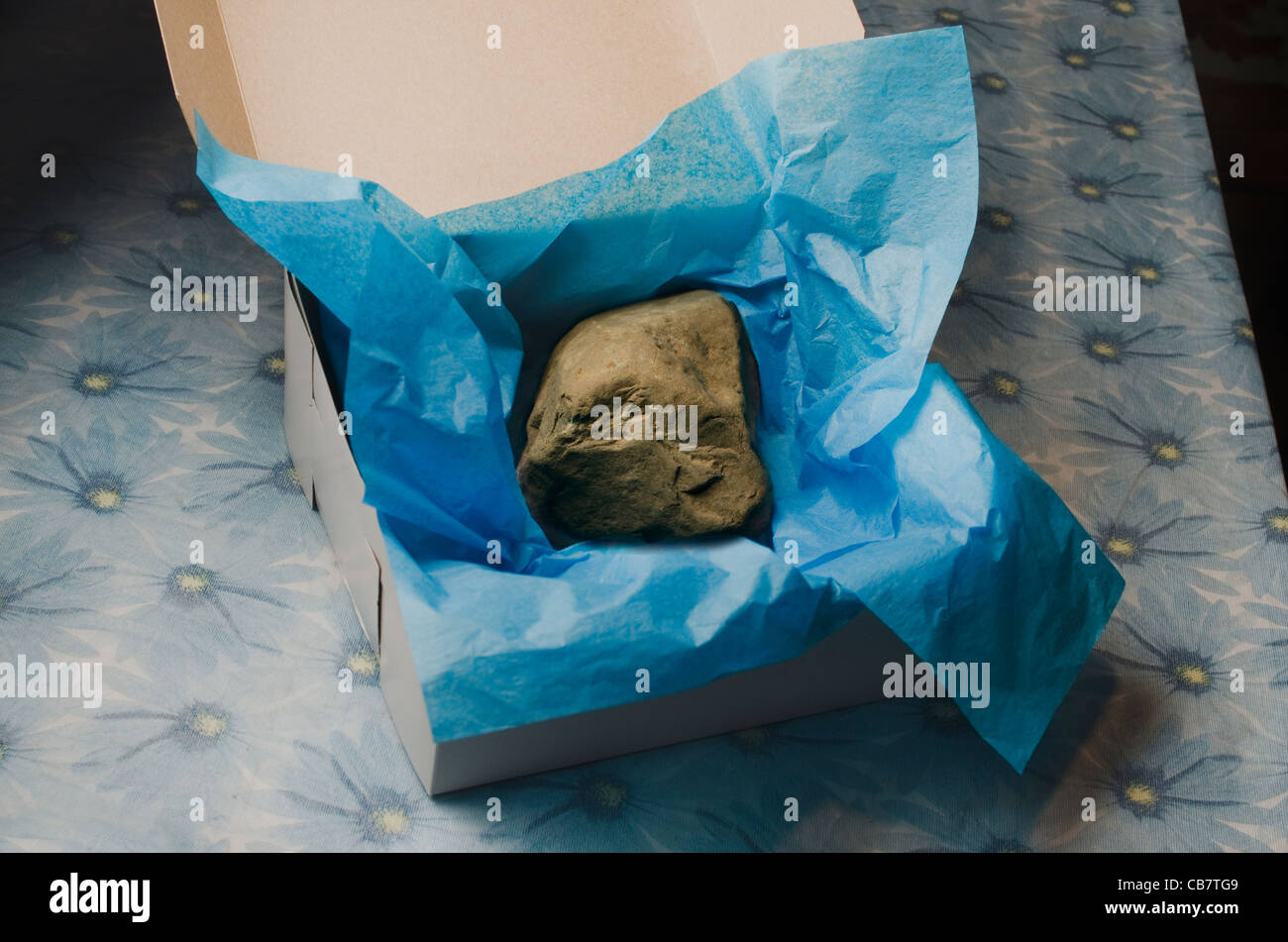 Gros rocher en boite cadeau avec le papier de soie Banque D'Images