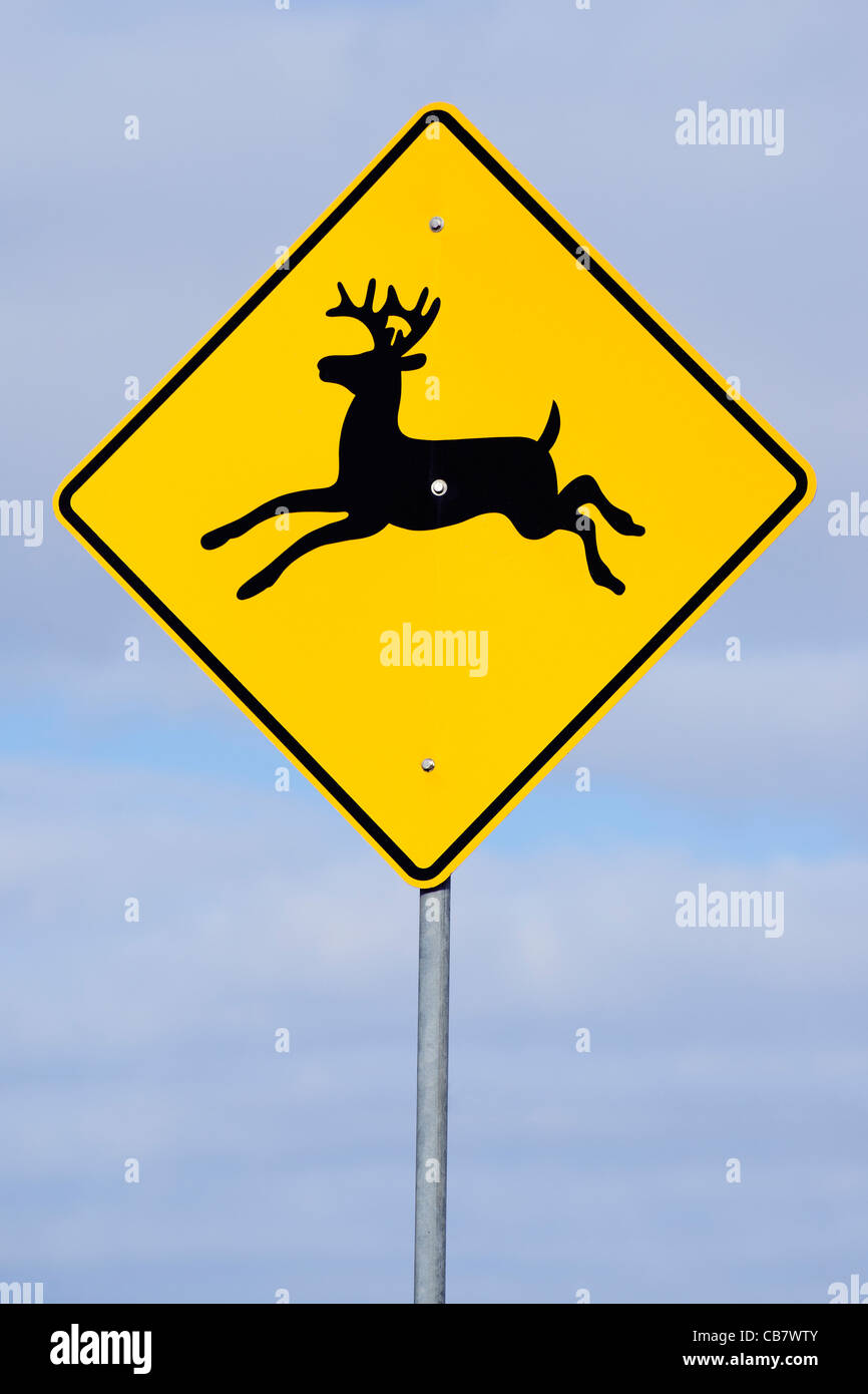 Deer crossing road sign. Banque D'Images