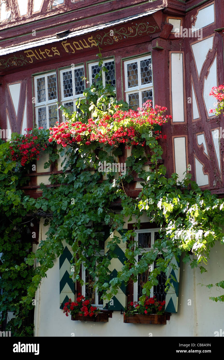 Bacharach am Rhein, Altstadt mit Haus Altes Fachwerkhaus, Mittelrhein, Rheinland-Pfalz, Deutschland Banque D'Images