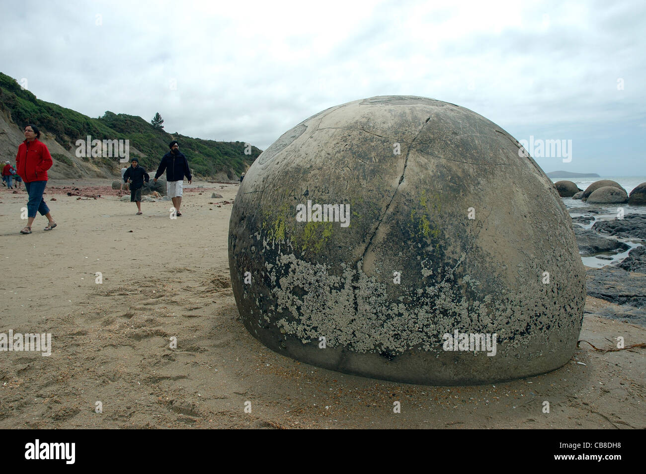 Moeraki Boulders Moeraki, Plage, Côte Est, Ortago, île du Sud, Nouvelle-Zélande Banque D'Images