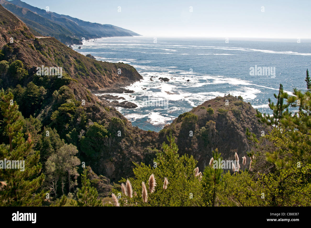 La côte sauvage de Big Sur Californie Côte de l'océan Pacifique plage mer United States Banque D'Images