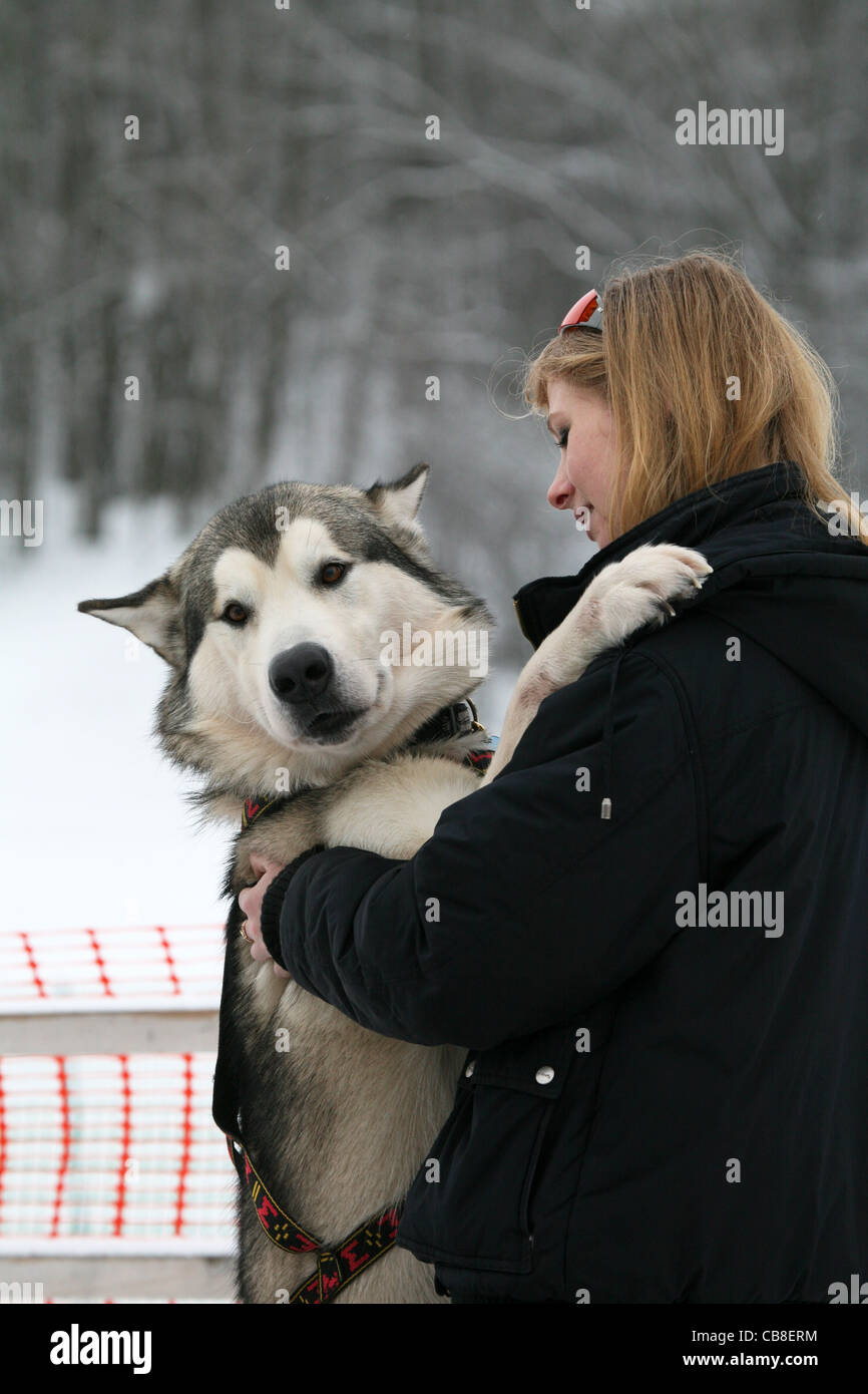 La jeune fille avec de Malamute d'Alaska Banque D'Images