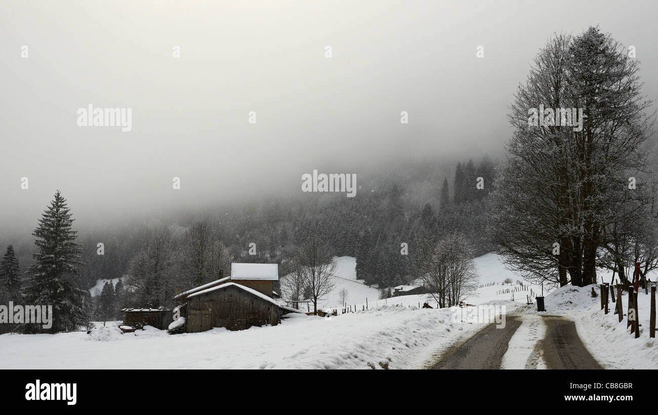 Les fortes chutes de neige dans les Alpes Allgaeu Banque D'Images
