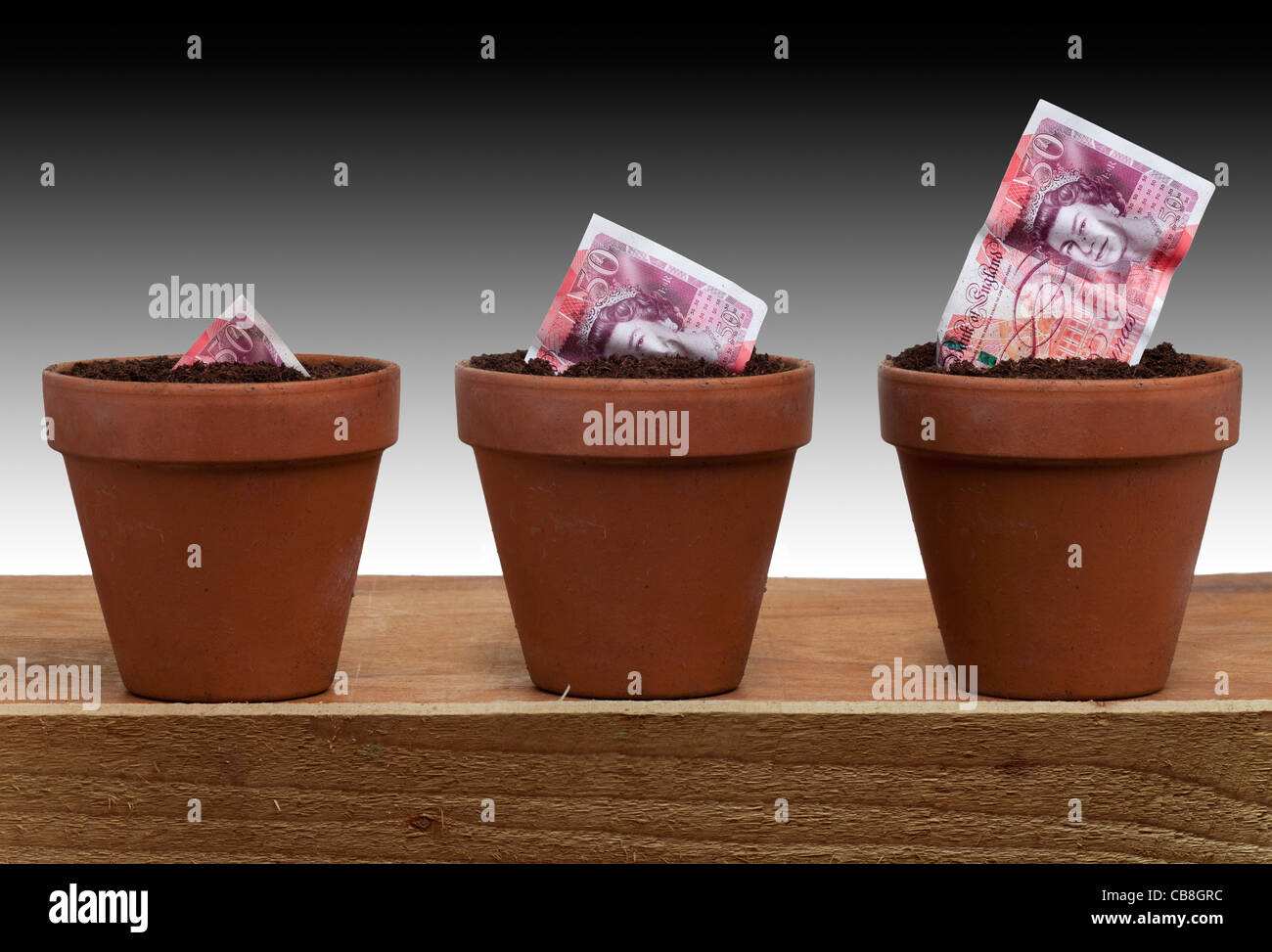 €5050 livre de plus en plus des semis en banque du Royaume-Uni d'Angleterre nouvelle monnaie dans un pot de fleurs en terre cuite Banque D'Images