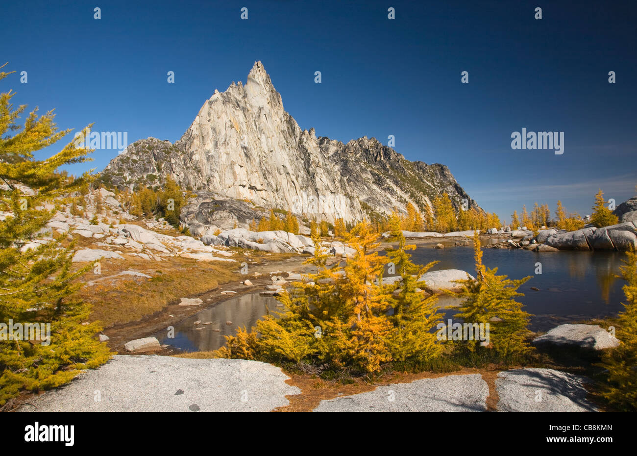 Pic Prusik et le mélèze arbres en automne couleurs à Gnome Tarn dans le bassin de l'enchantement des lacs alpins désert. Banque D'Images